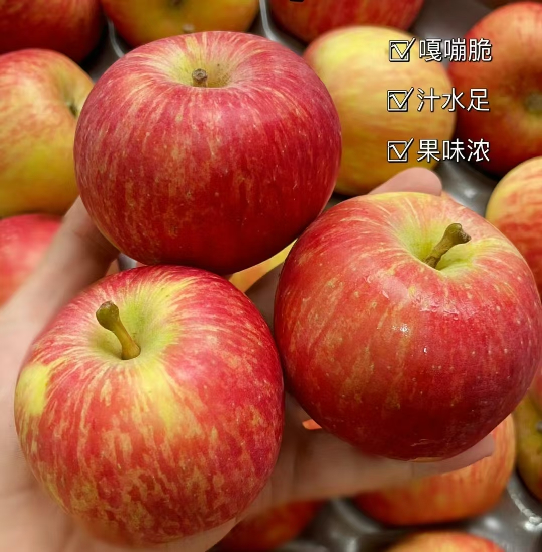 生物小苹果版小苹果cf助手官网-第2张图片-太平洋在线下载