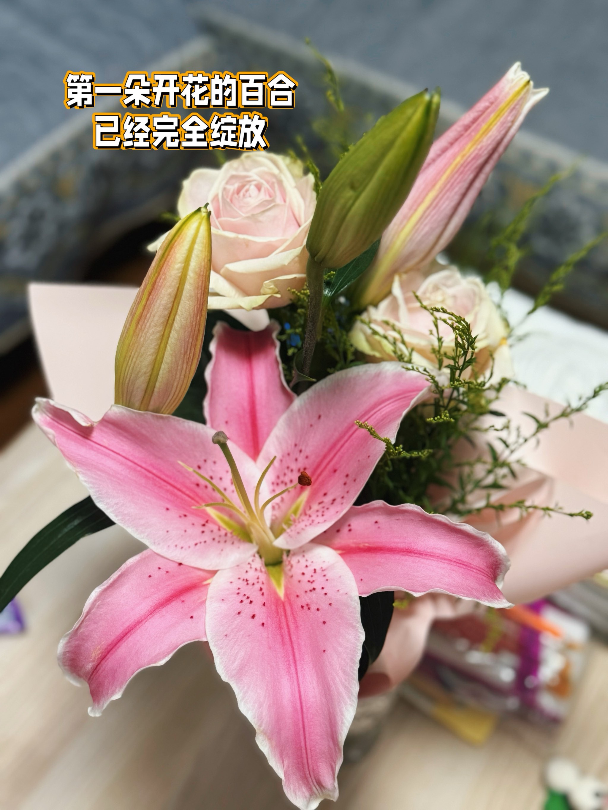 百合手机版百合手机官方旗舰店